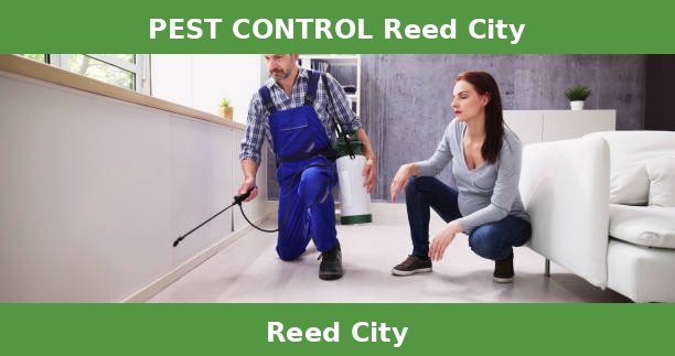 PEST CONTROL Reed City